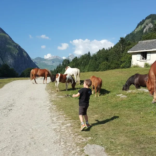 camping-du-valentin-laruns-rwaod