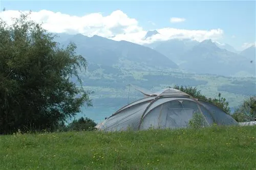 camping-biohof-berner-oberland-sigriswil-ojd6h