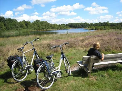 camping-de-bronzen-eik-sellingen-fgdpt