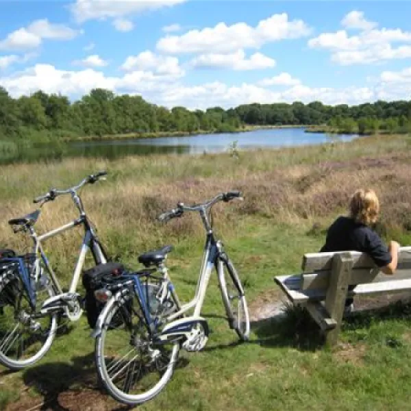 camping-de-bronzen-eik-sellingen-fgdpt