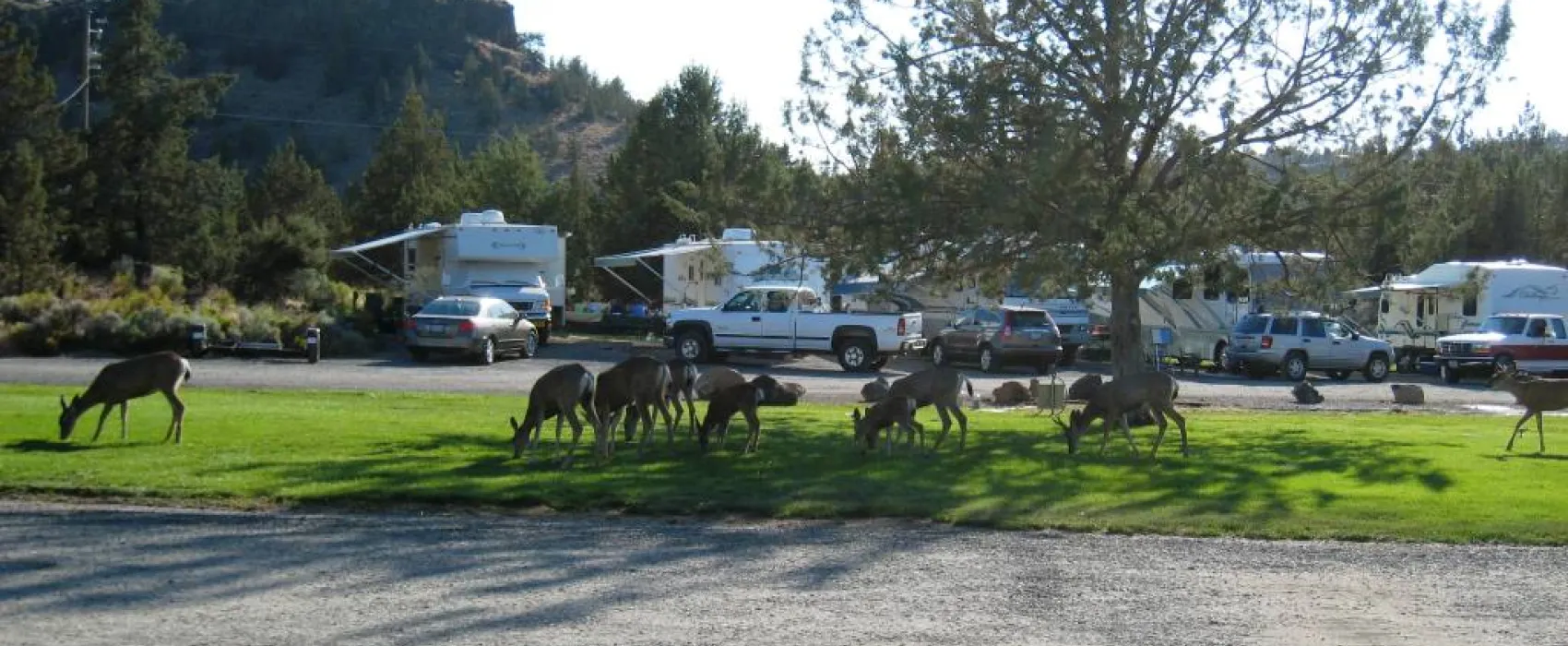 River Ranch RV Resort