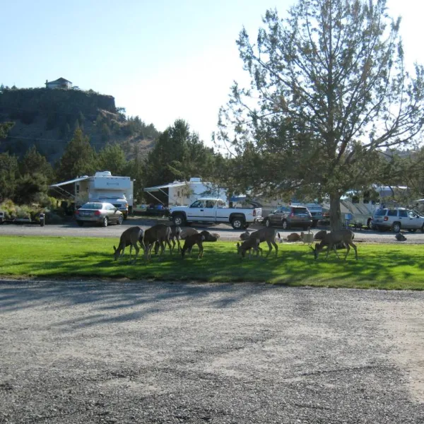 River Ranch RV Resort