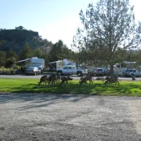 river-ranch-rv-resort-river-ranch-zyjsx