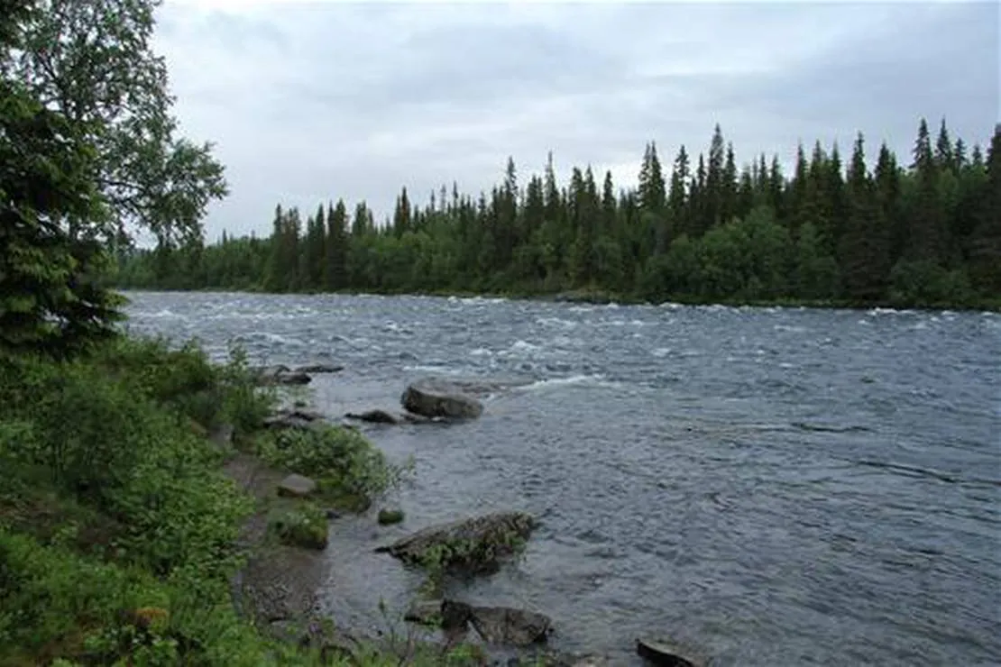 tarnaby-camping-tarnaby-atied