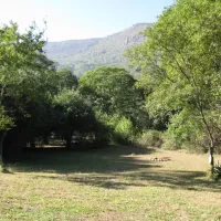 highover-wildlife-reserve-6ydas