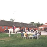 kampeerboerderij-binnendijken-schiermonnikoog-moedh