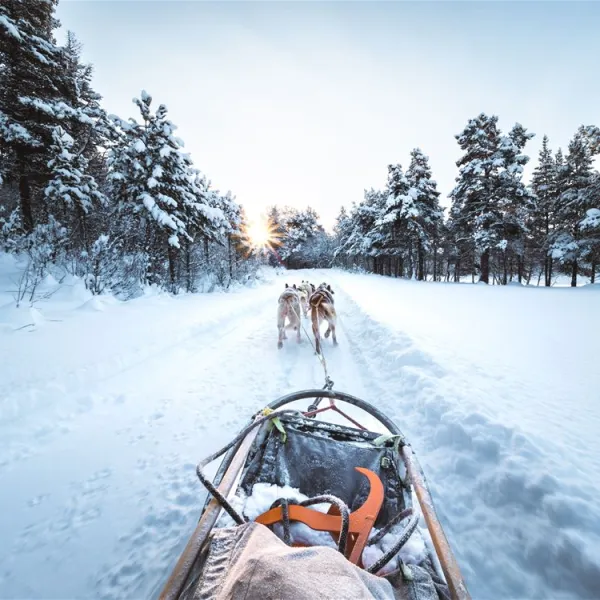 sjodalen-hyttetun-og-camping-tessanden-bsun2