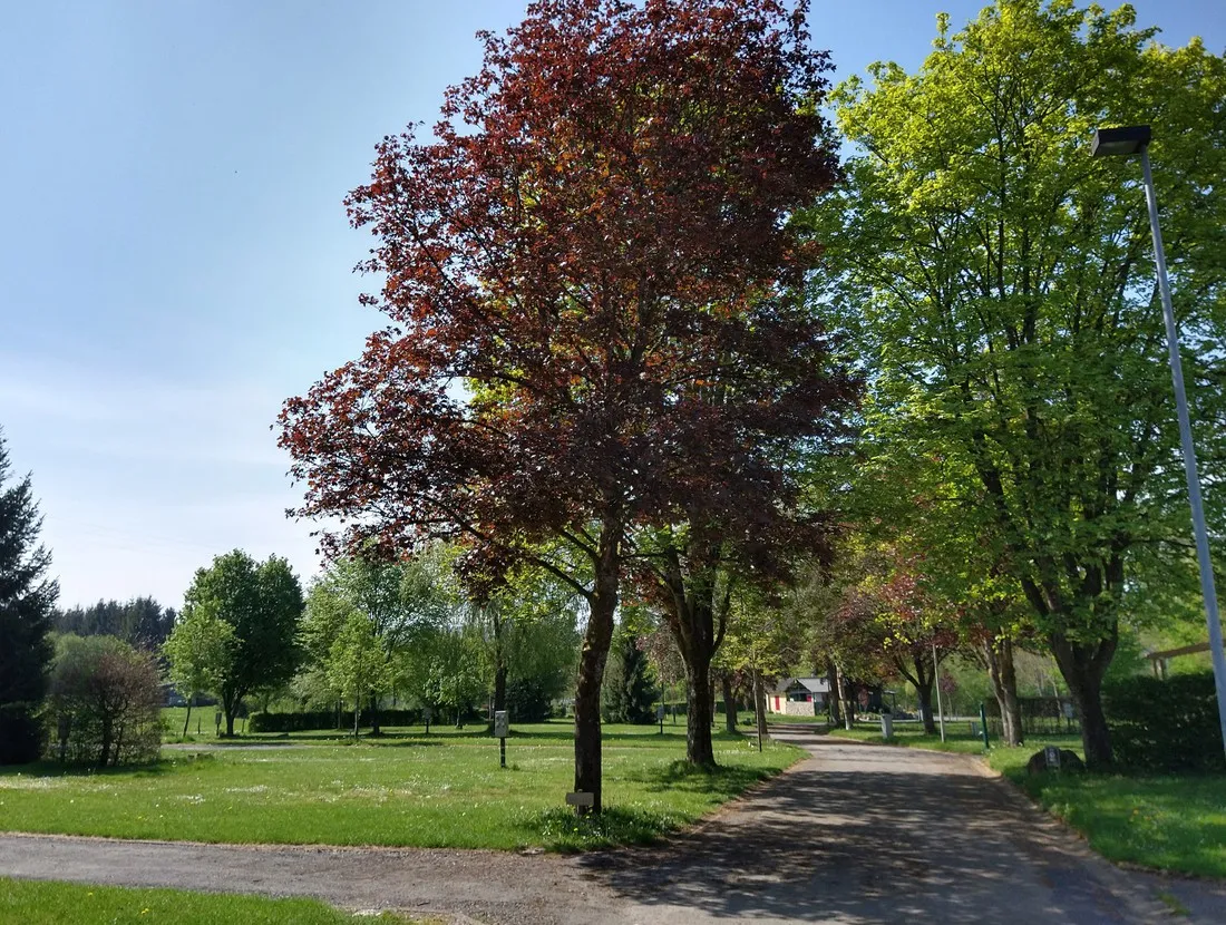 leau-rouge-stavelot-fbiej