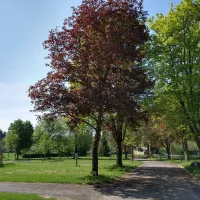 leau-rouge-stavelot-fbiej