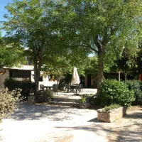 Meneque