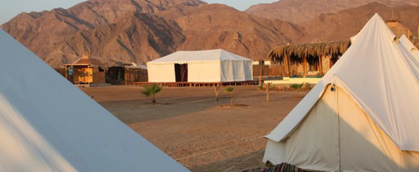 Sinai Shambalah