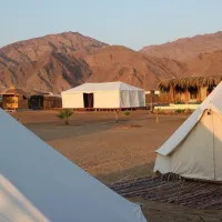Sinai Shambalah