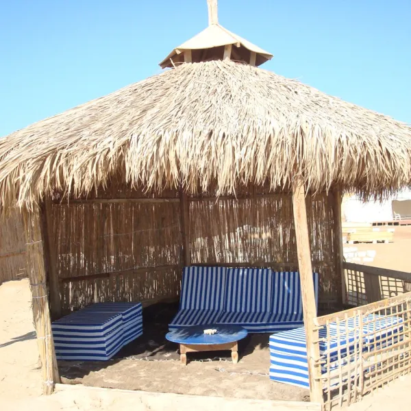 sinai-shambalah-nuweiba-yrfni