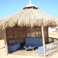 sinai-shambalah-nuweiba-yrfni