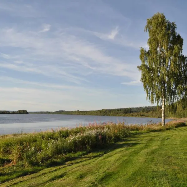 Sjøstrand Camping