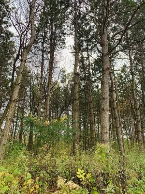 indian-trails-campground-pardeeville-qxrqc
