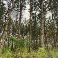 Indian Trails Campground