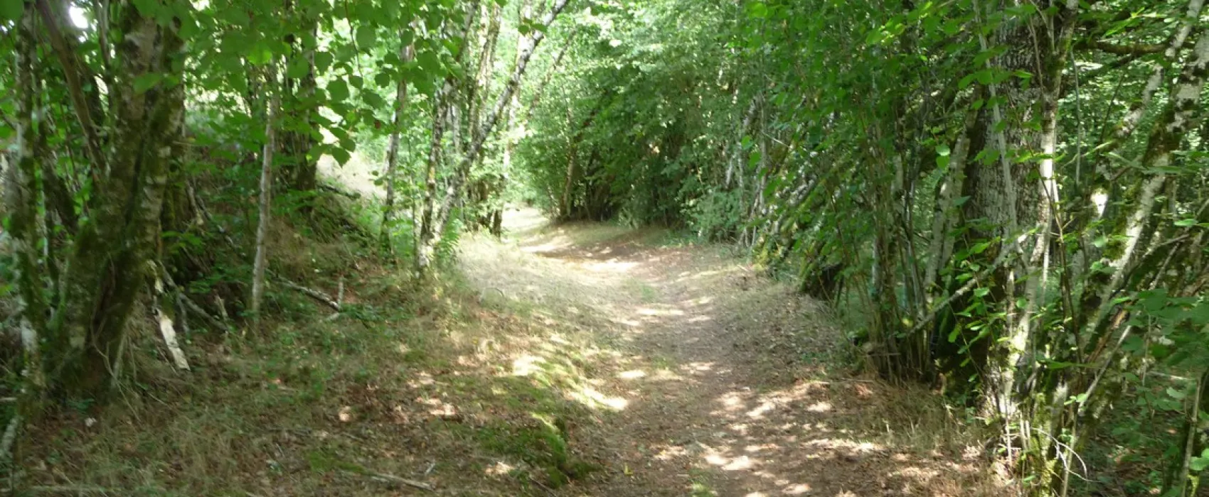 La Petite Riviere