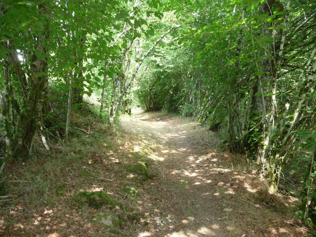 la-petite-riviere-clergoux-sc6aj