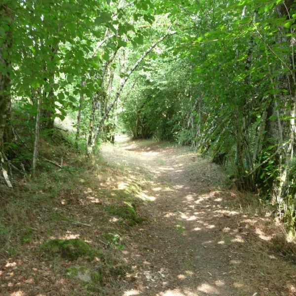 la-petite-riviere-clergoux-sc6aj