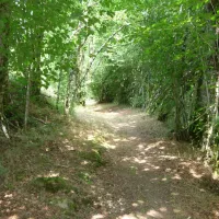 la-petite-riviere-clergoux-sc6aj