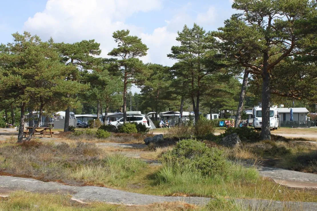 bevo-camping-gamle-fredrikstad-xjn3v