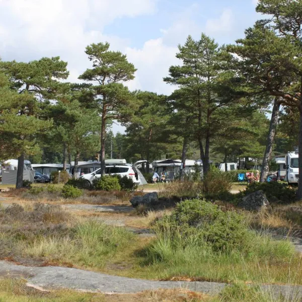 bevo-camping-gamle-fredrikstad-xjn3v