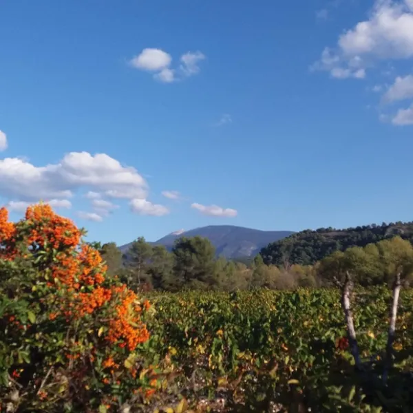 le-voconce-st-marcelin-les-vaison-iosnp