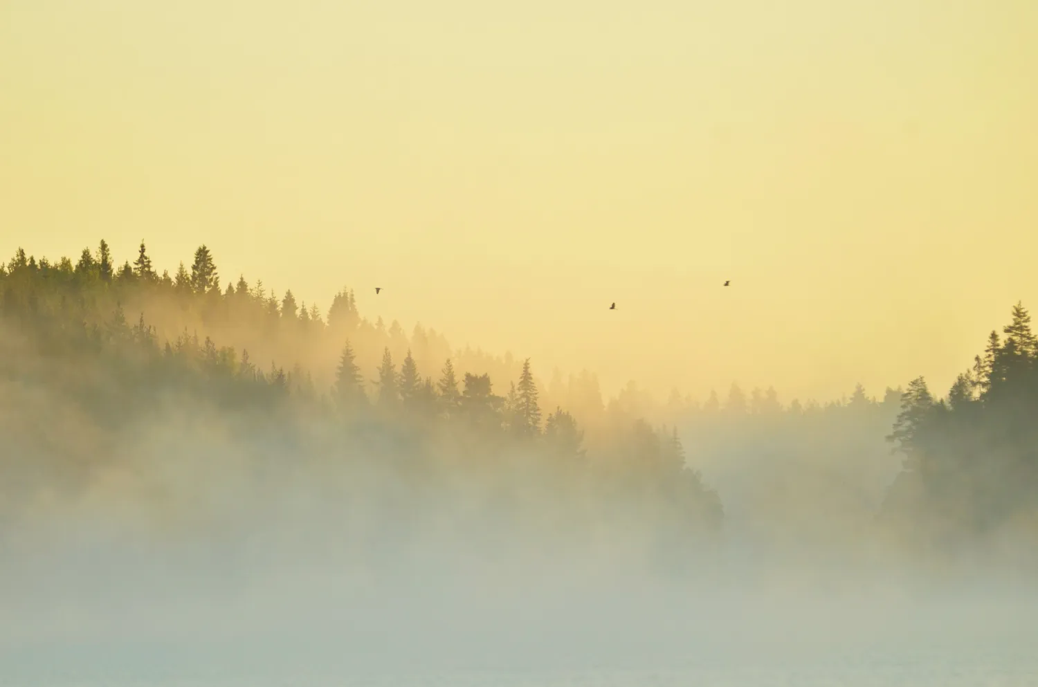 river-camping-ludvika-oybwm