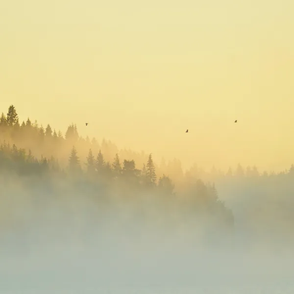 river-camping-ludvika-oybwm