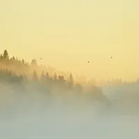 river-camping-ludvika-oybwm