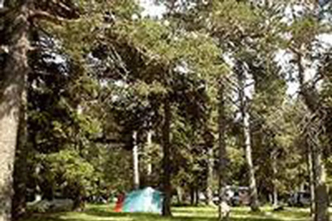 camping-du-pla-de-barres-mont-louis-z24g6