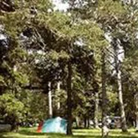 camping-du-pla-de-barres-mont-louis-z24g6
