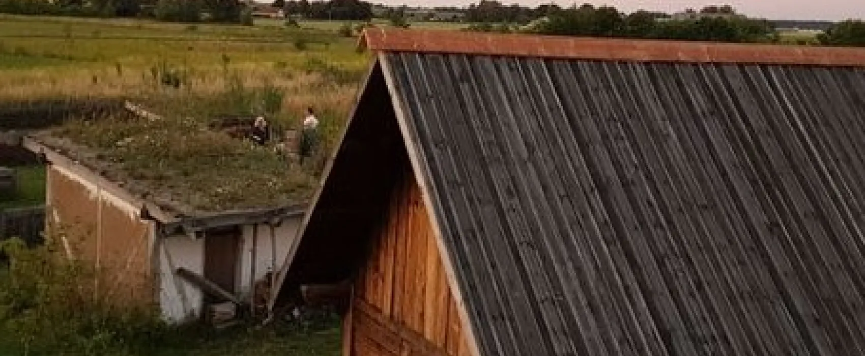 Vikingatider