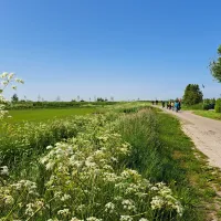 minicamping-klaverwijk-colijnsplaat-fwcis