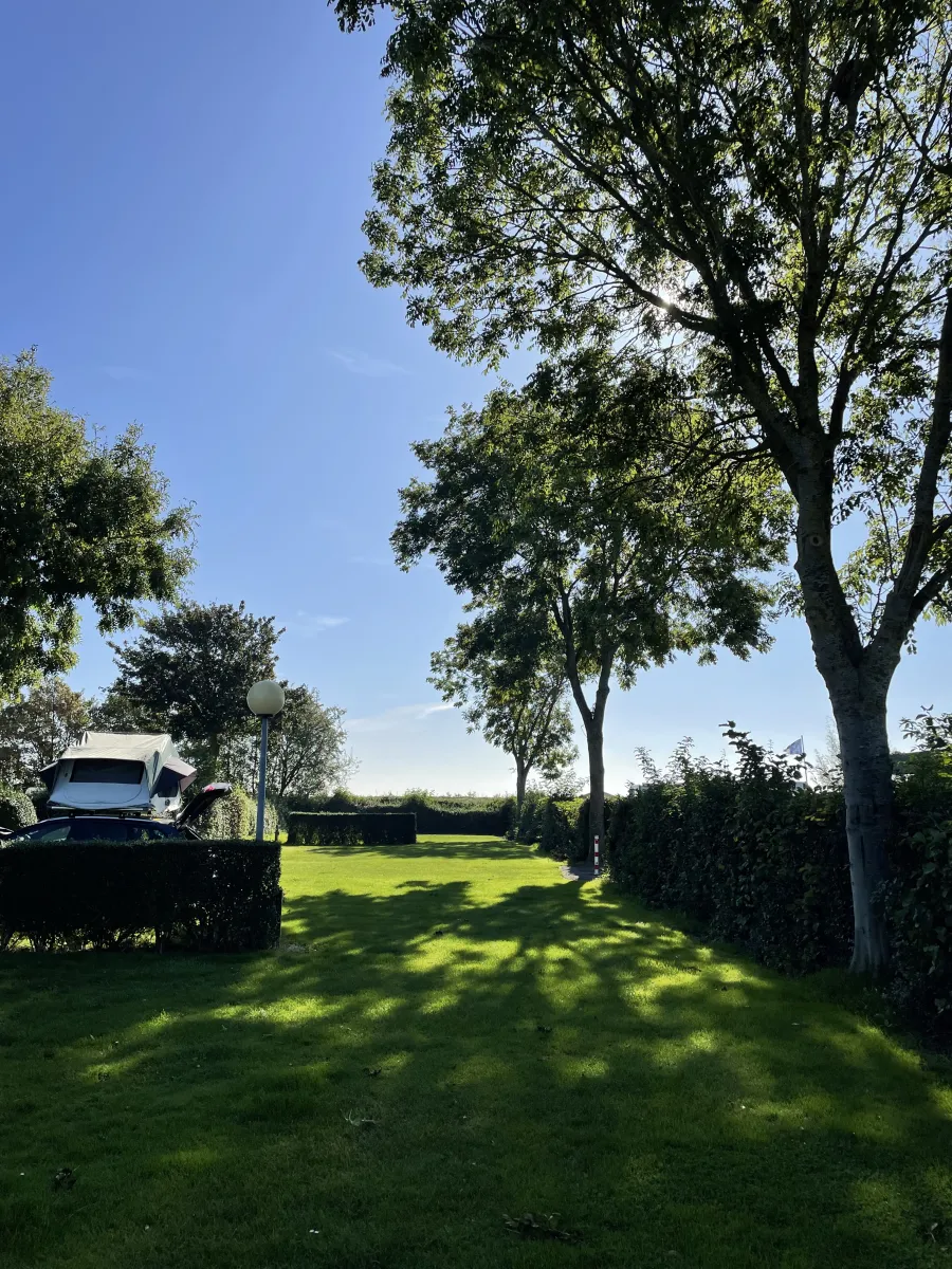 minicamping-klaverwijk-colijnsplaat-xdewd