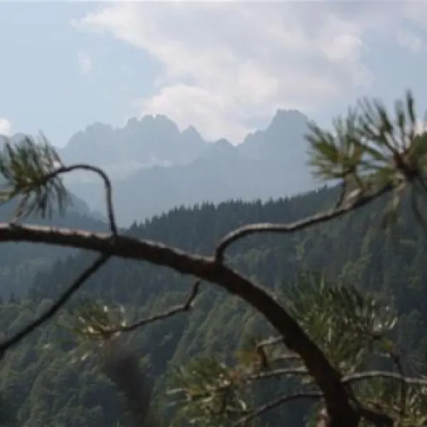 naturpark-schluga-seecamping-hermagor-pressegger-see-5sqjc