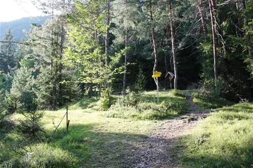 naturpark-schluga-seecamping-hermagor-pressegger-see-ydjcs