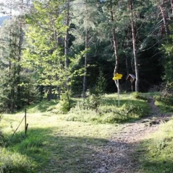 naturpark-schluga-seecamping-hermagor-pressegger-see-ydjcs
