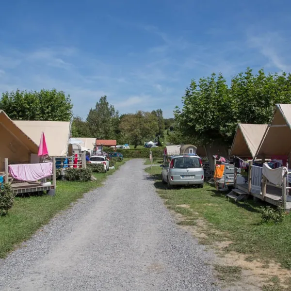 Arena Camping