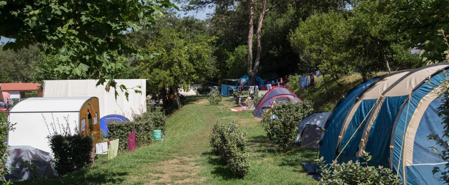 Arena Camping