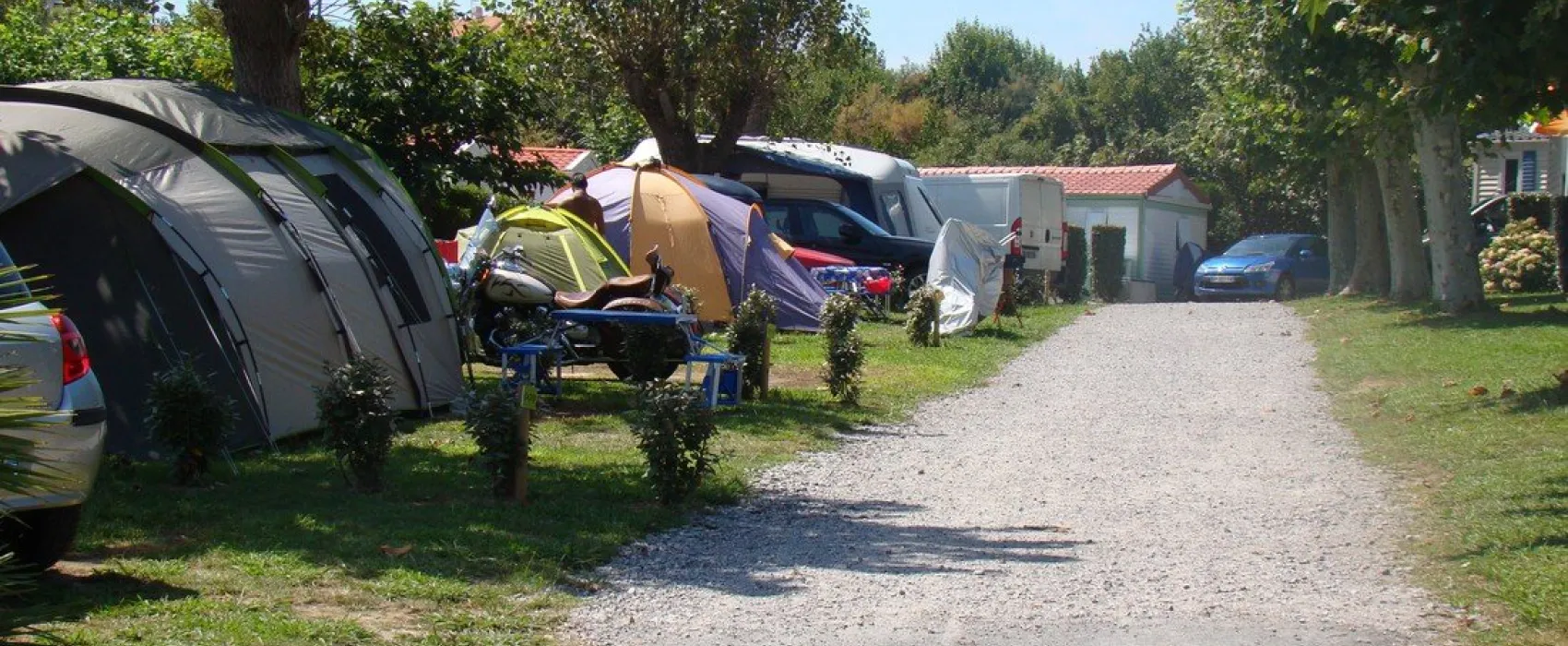 Arena Camping