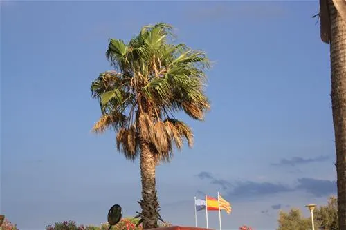 camping-la-gaviota-sant-pere-pescador-1ux6h