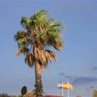 camping-la-gaviota-sant-pere-pescador-1ux6h