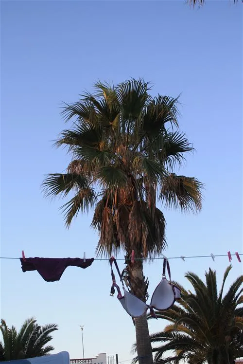 camping-la-gaviota-sant-pere-pescador-ao1vf