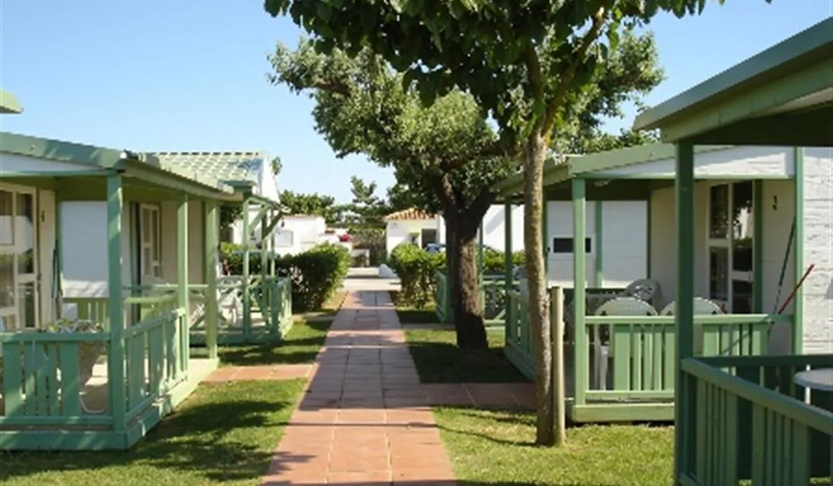camping-la-gaviota-sant-pere-pescador-dozl2