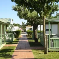 camping-la-gaviota-sant-pere-pescador-dozl2