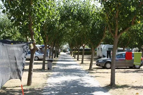 camping-la-gaviota-sant-pere-pescador-hscoy