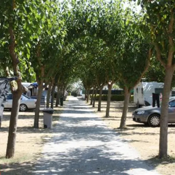 camping-la-gaviota-sant-pere-pescador-hscoy