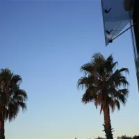 camping-la-gaviota-sant-pere-pescador-lzpms